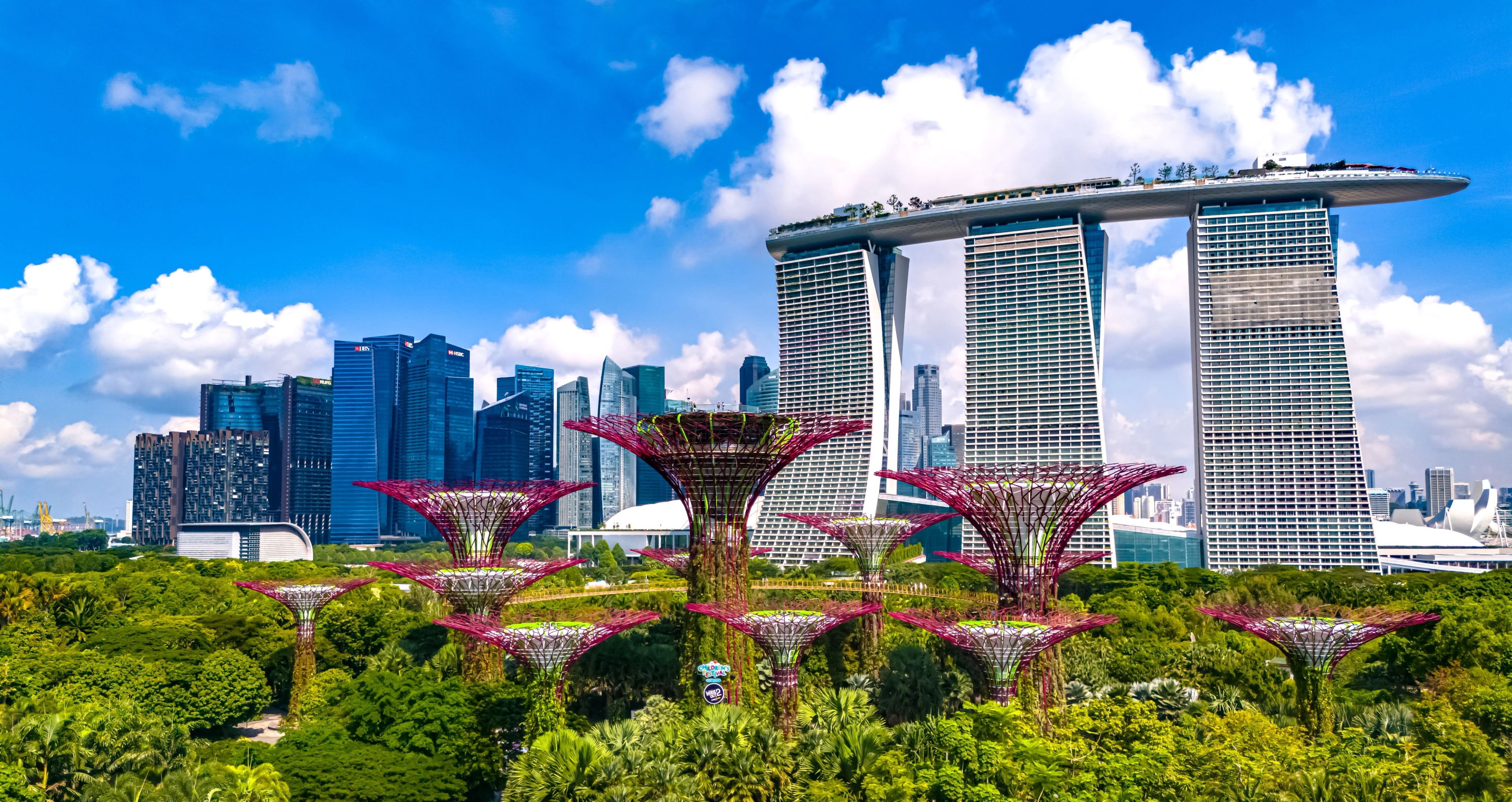 Day 4: Flight to Singapore & Half‐Day City Tour — photo 1