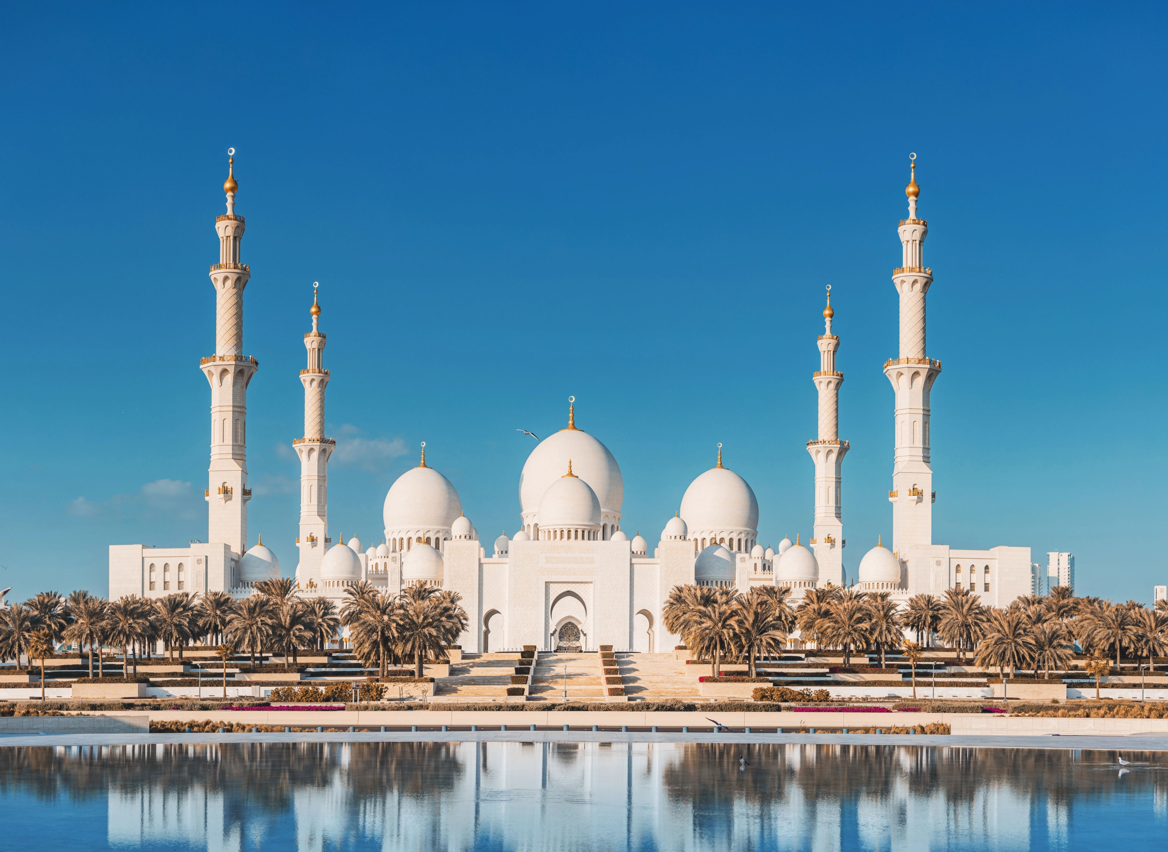 The Road to Abu Dhabi — photo 1