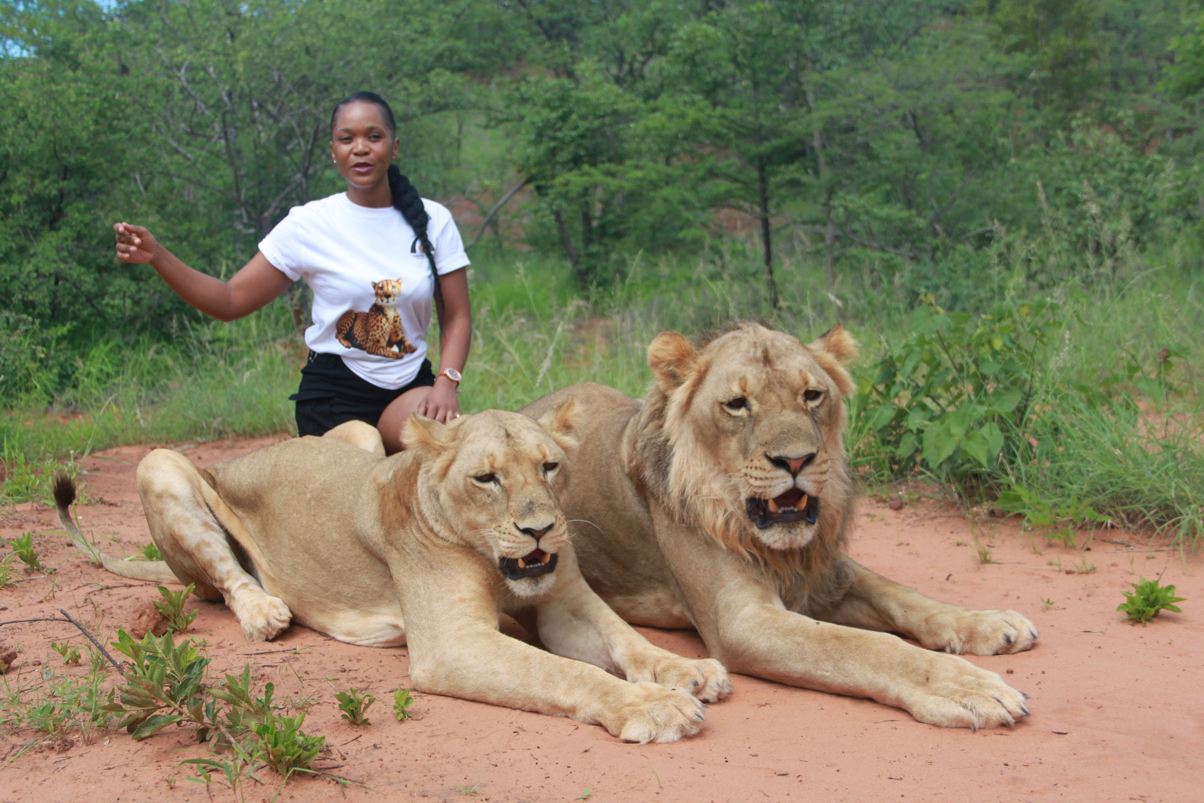 Walking with Lions Safari & Livingstone Luxury train Express Tour — photo 1