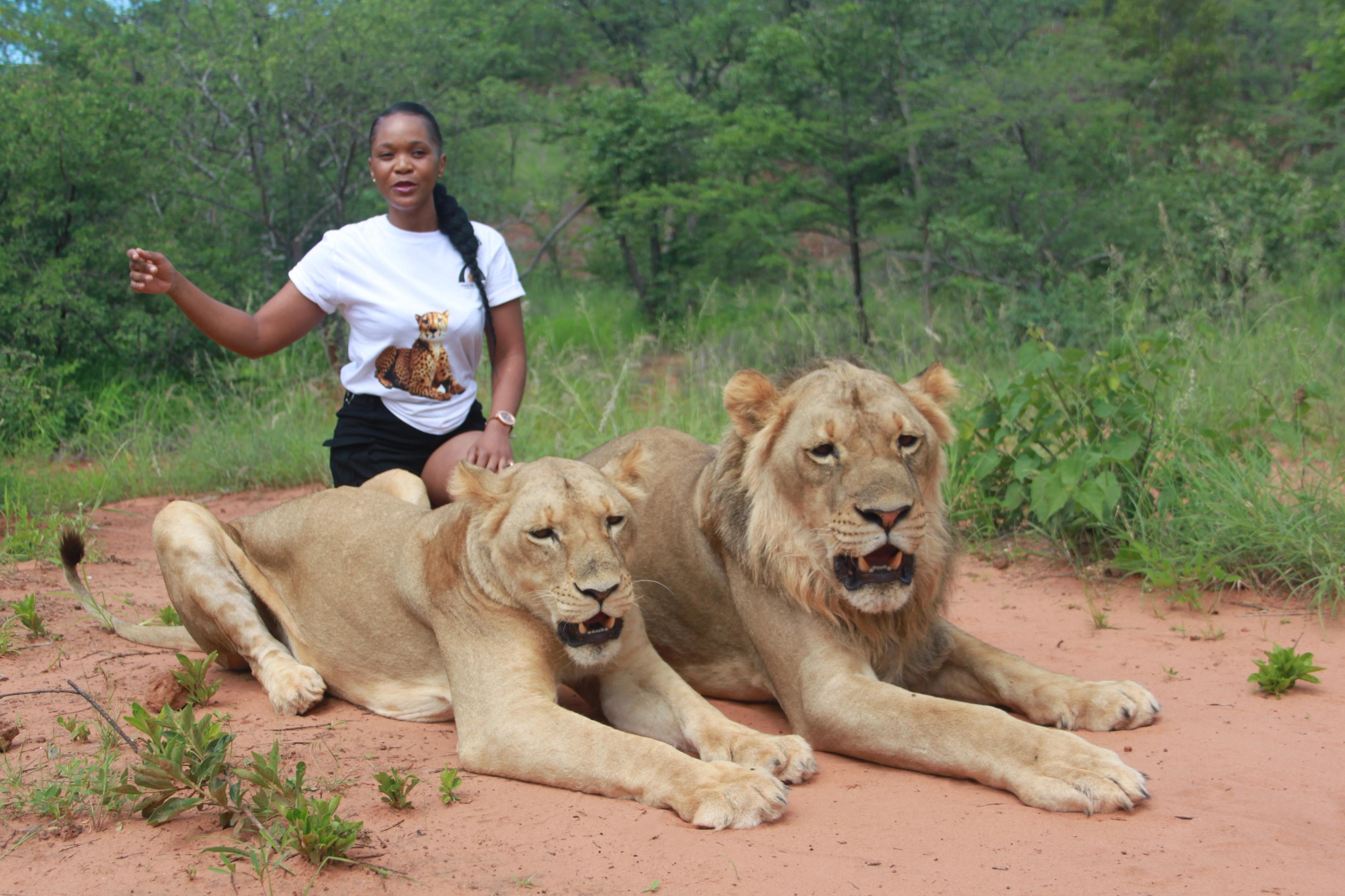 Walking with Lions Safari & Livingstone Luxury train Express Tour