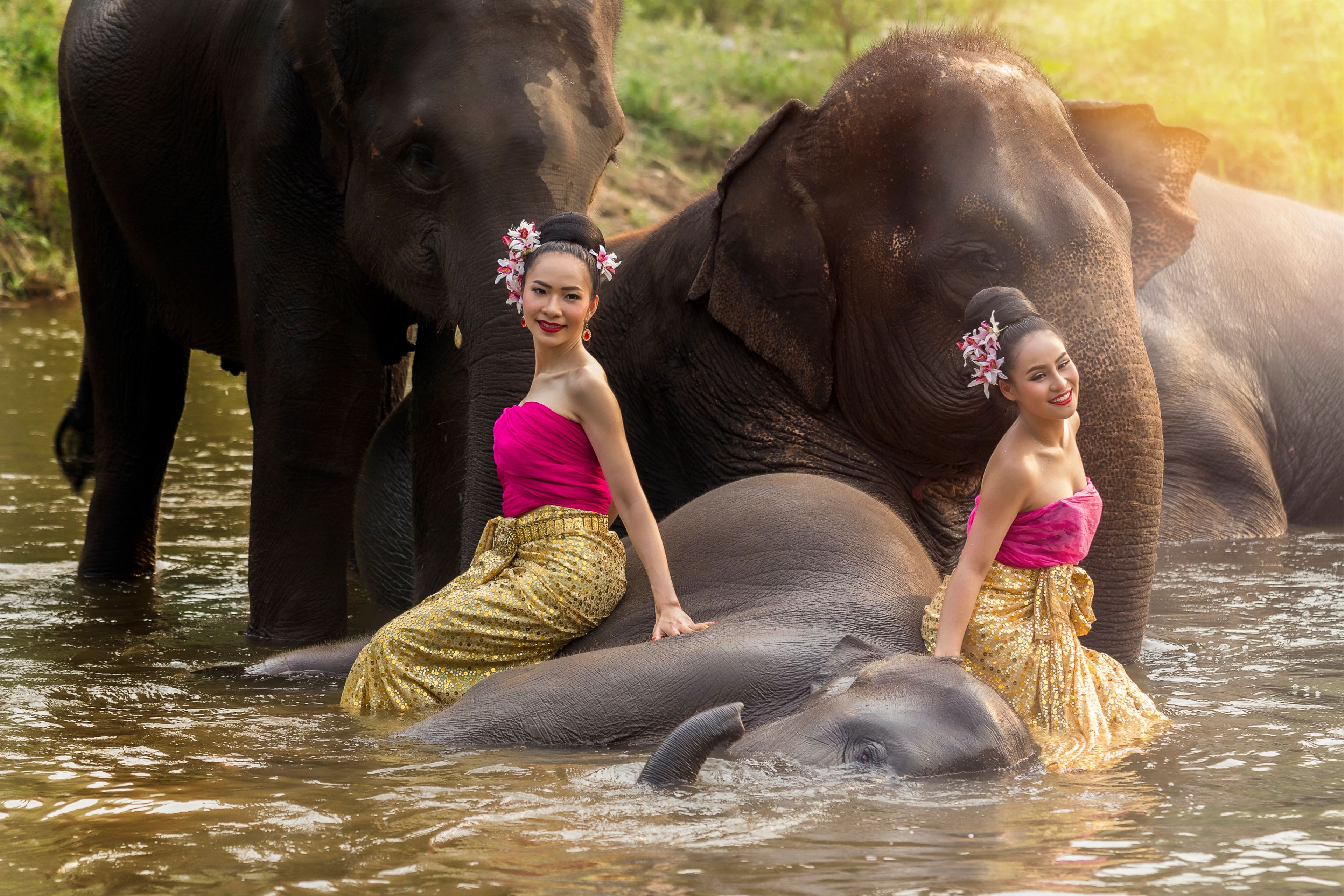 Day 5: Elephant Bathing Experience — photo 1