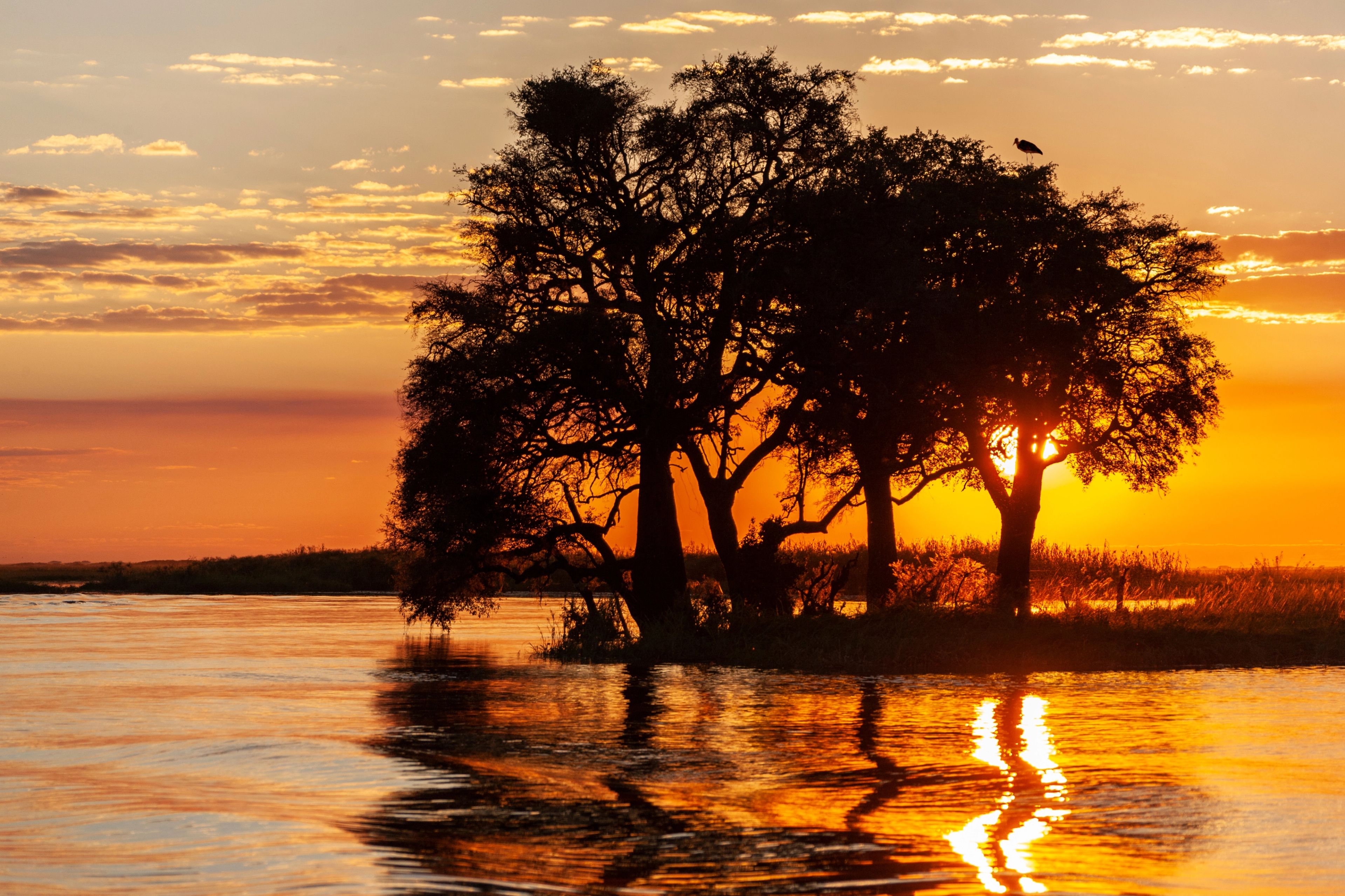 Transfer to Zimbabwe & Zambezi River Sunset Cruise near Victoria Falls — photo 3