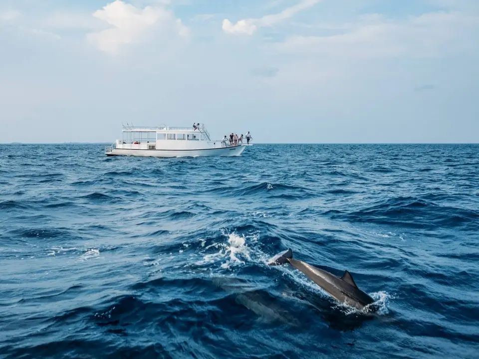 Departure — photo 1