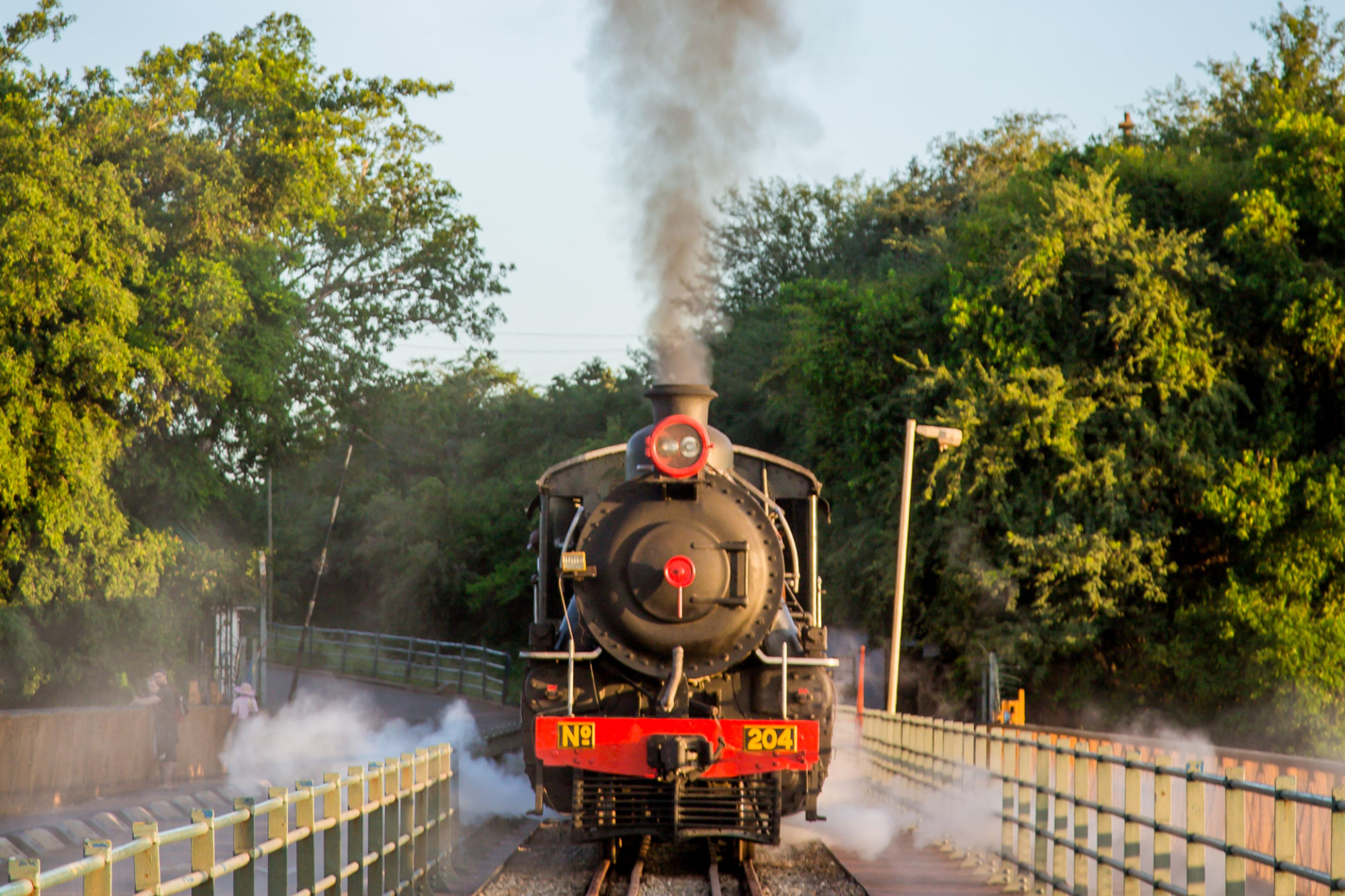 Walking with Lions Safari & Livingstone Luxury train Express Tour — photo 2