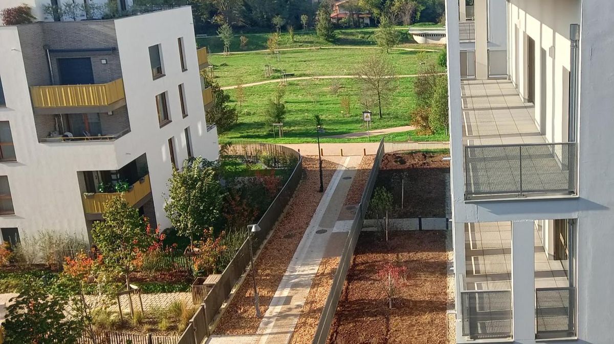 Photo depuis notre habitat partagé