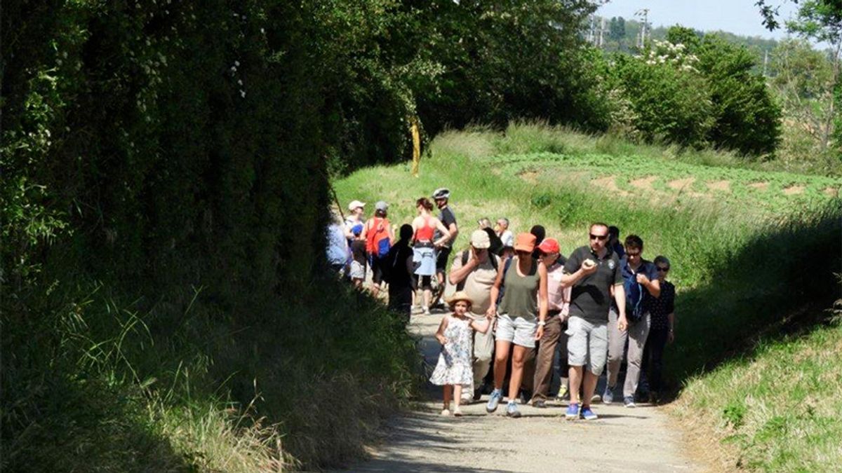 Photo prise lors de l'édition 2017 de notre randonnée pédestre