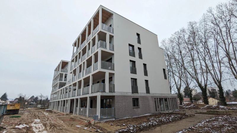 Habitat partagé : rejoignez les locataires