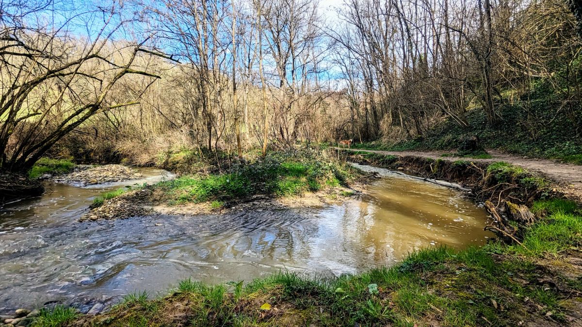Ruisseau longeant le sentier, Cailloux-sur-Fontaines