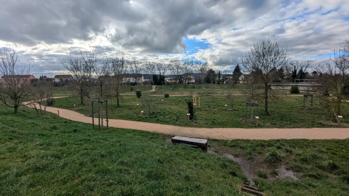 Photo de l'arboretum de Sathonay-Camp