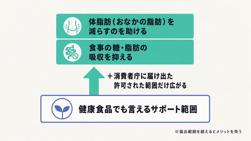 機能性表示食品・トクホが届出/許可の範囲で体脂肪などの機能性を上乗せできることを示す積み増し図