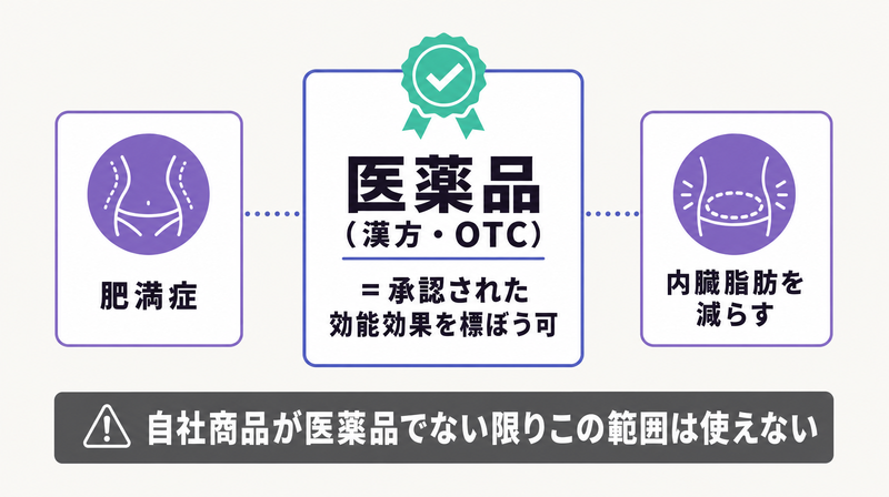医薬品だけが肥満症や内臓脂肪を減らすなど承認された効能を標ぼうできることを示す図