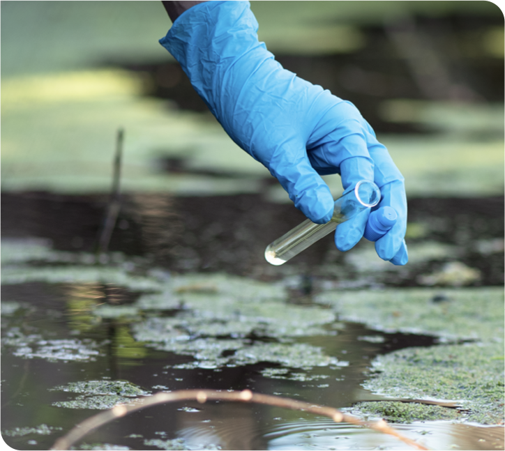 A gloved hand holding a water sample vial over an algae-covered pond.