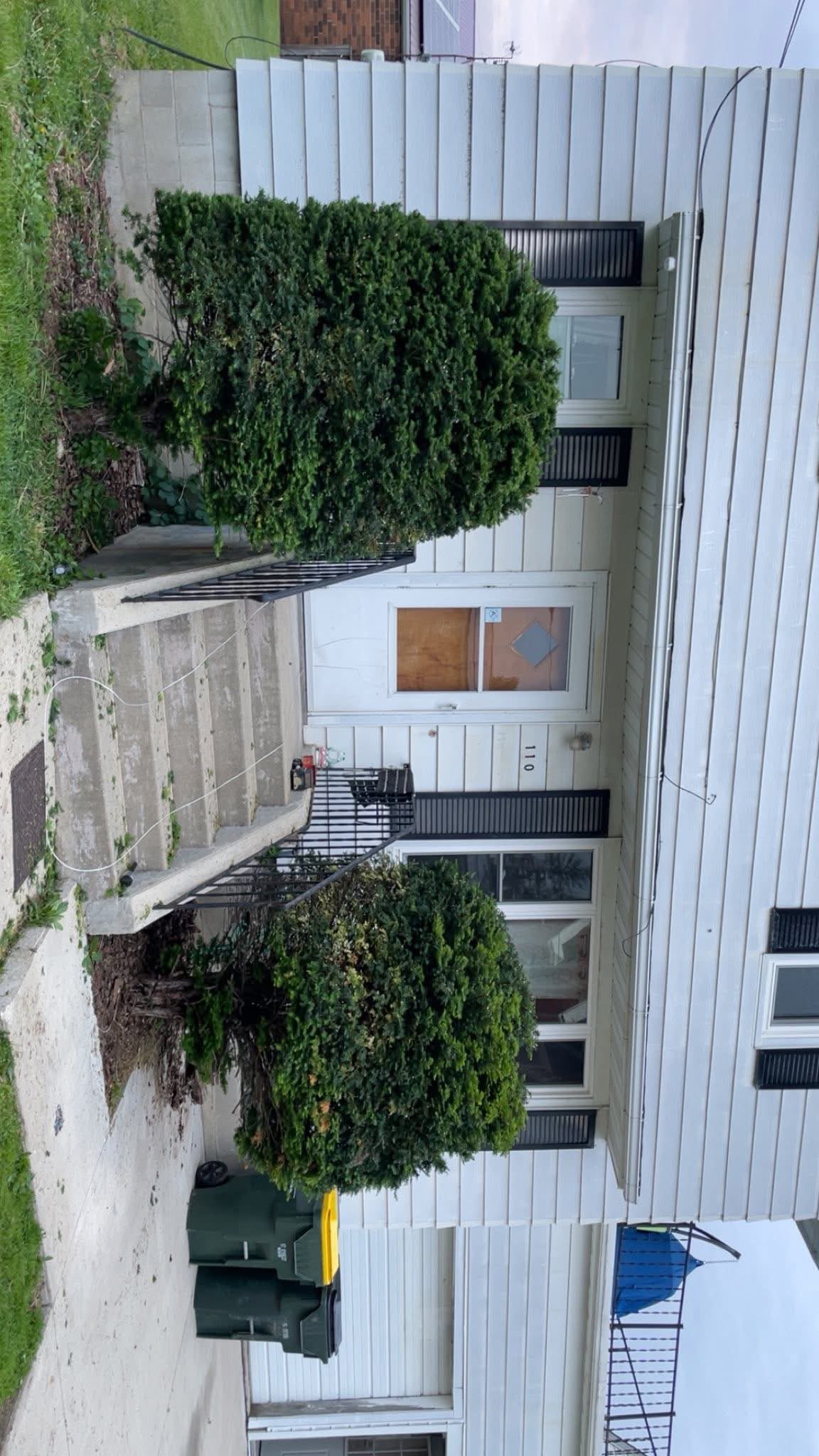 Trimmed shrubs beside a residential walkway