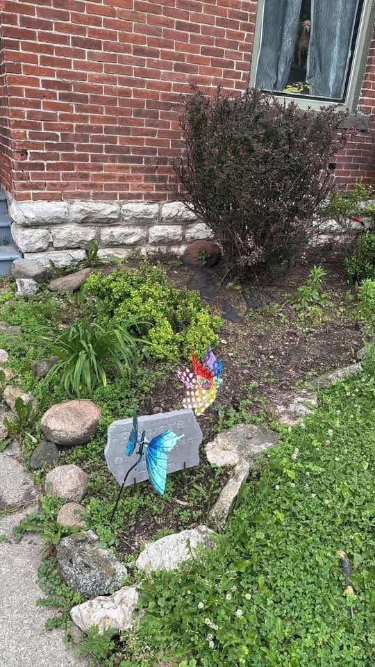 Small landscaped garden bed after installation