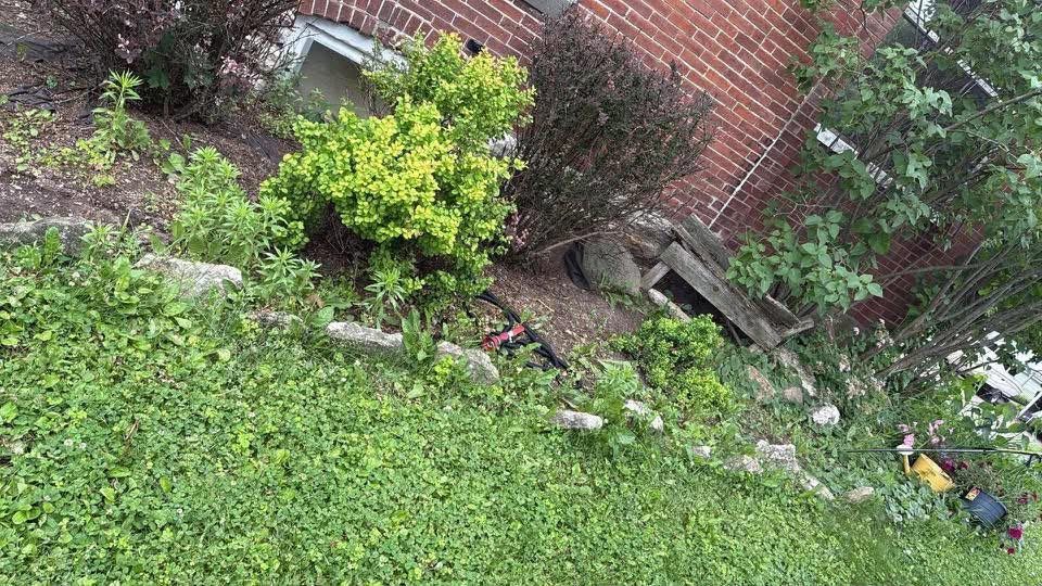 Residential garden bed before clean-up