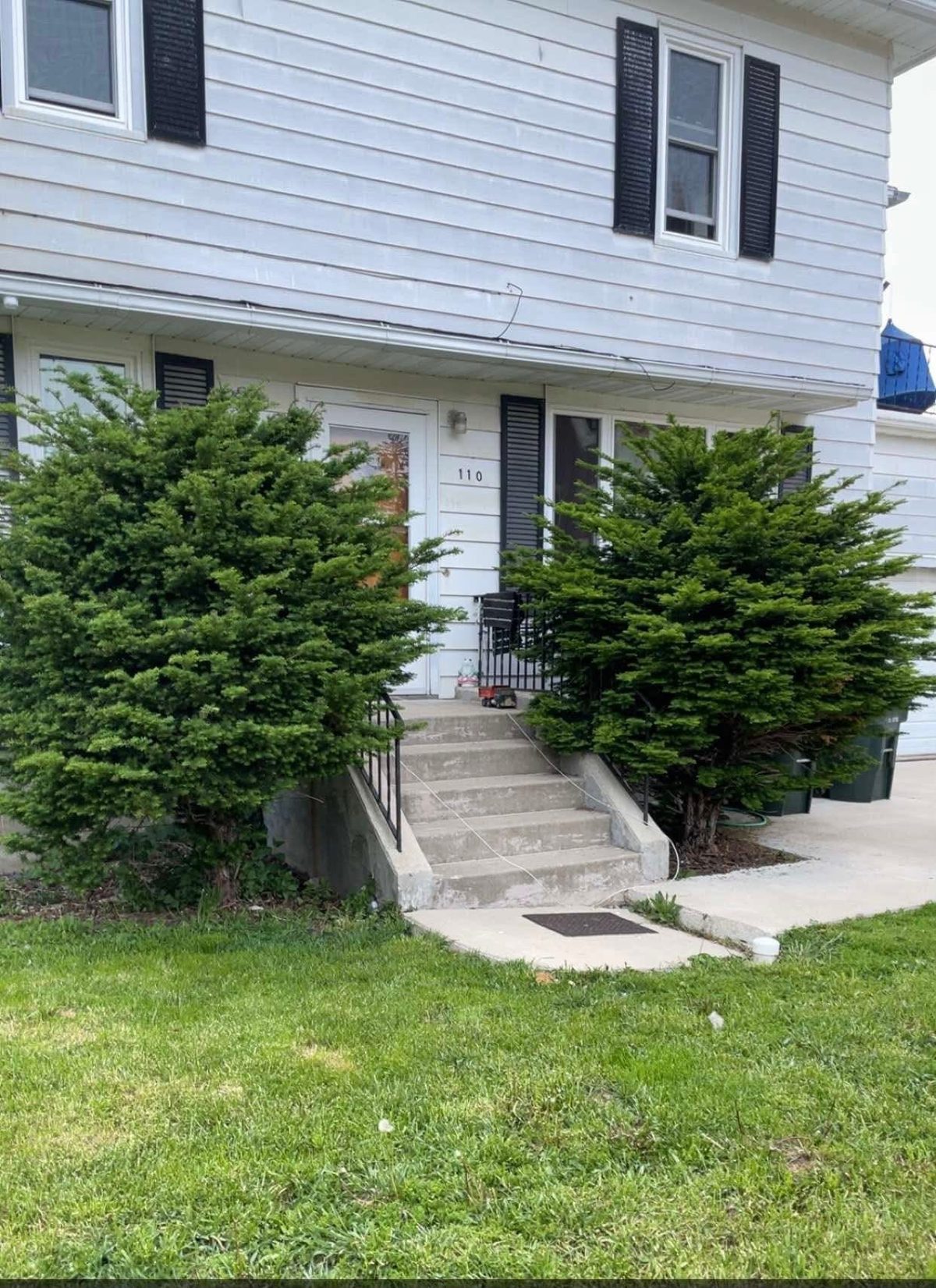 Front yard and shrubs before property care