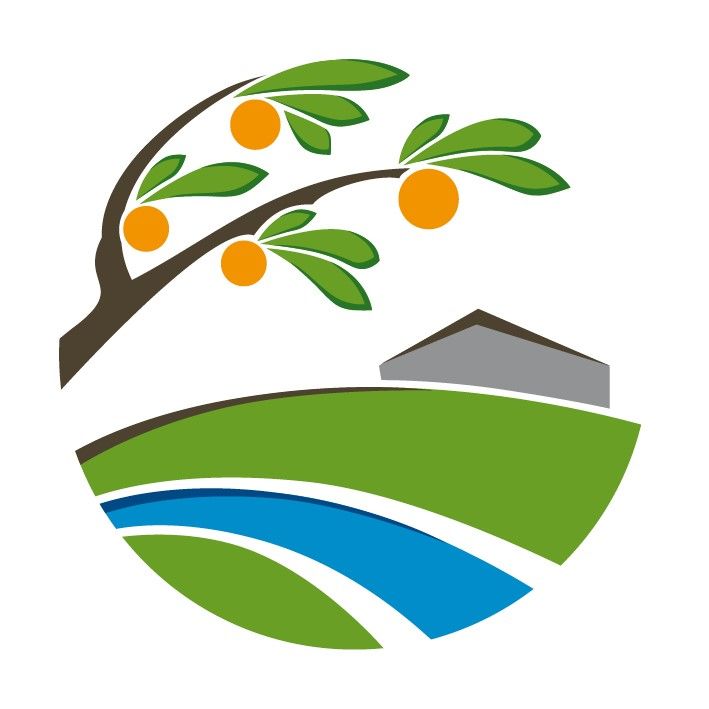 Immobilienberatungen- und Begleitungen