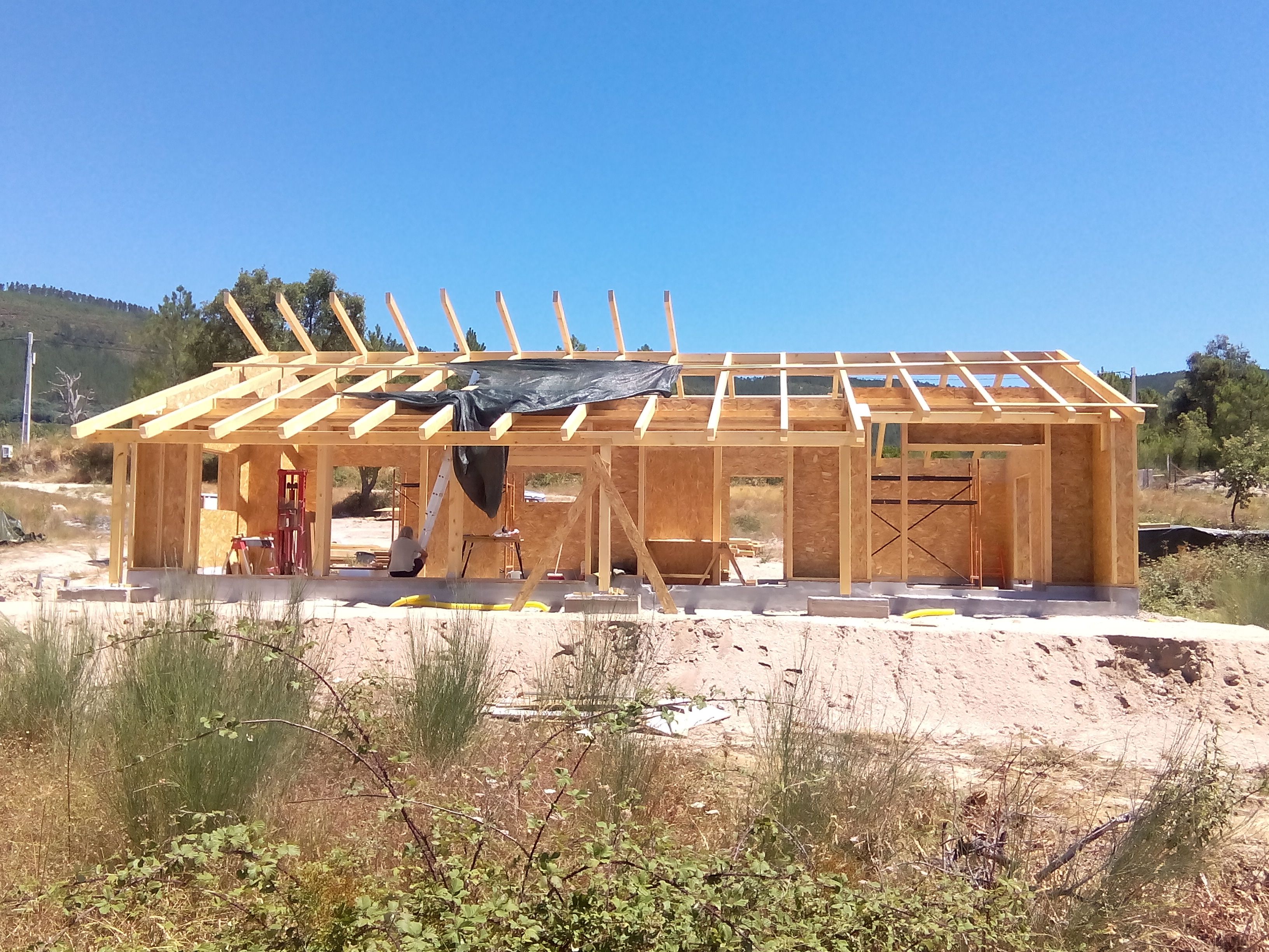 Bau- und Möbelholz aus Österreich