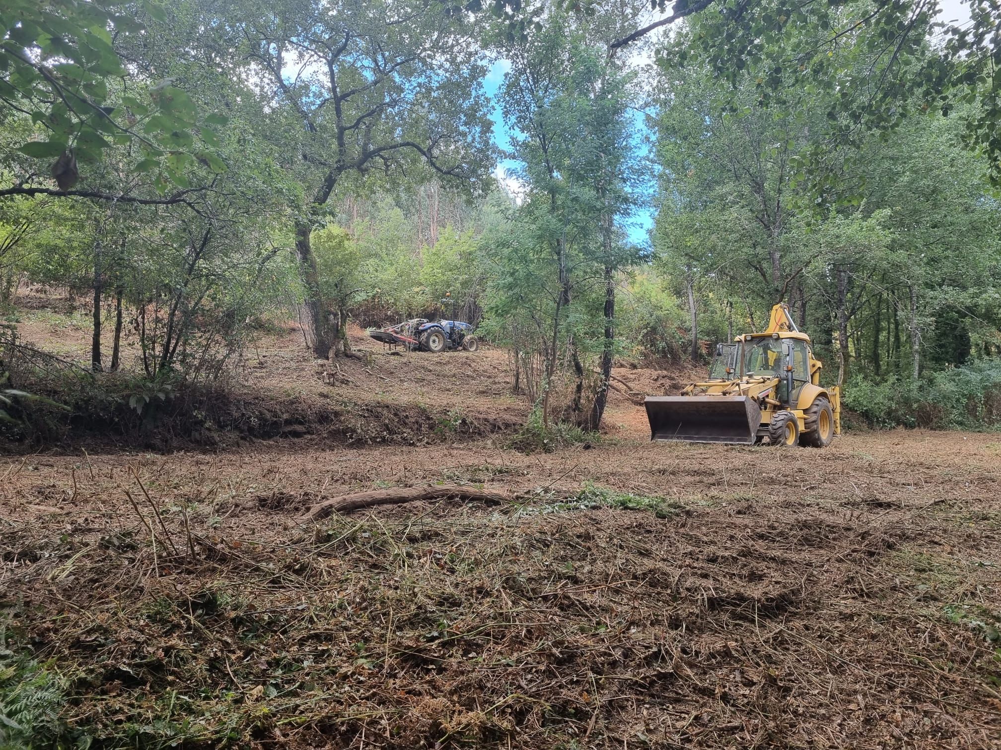 Grundstücksentwicklung