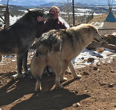 photo of Kay with wolf dogs