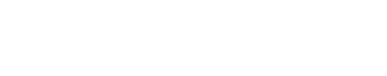 Next Hero Logo