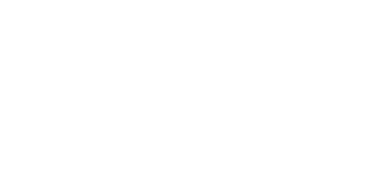 Emp Secure Logo