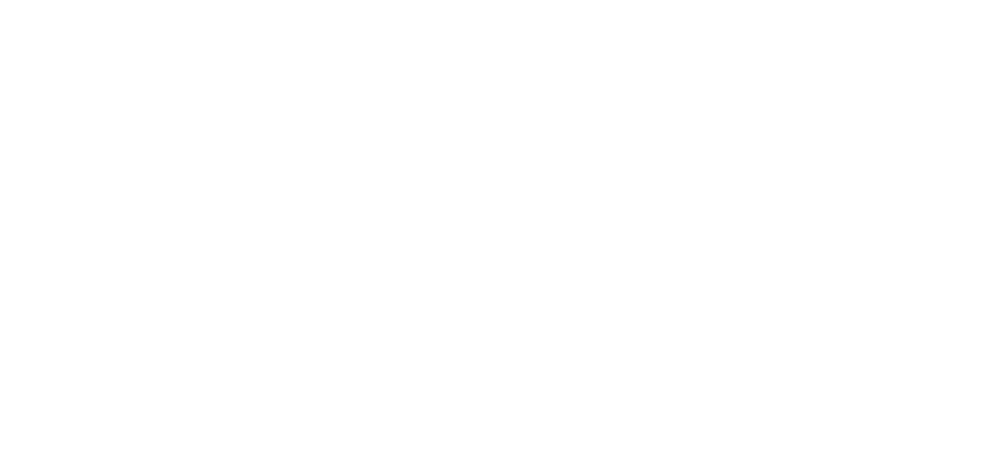 Norbit Logo