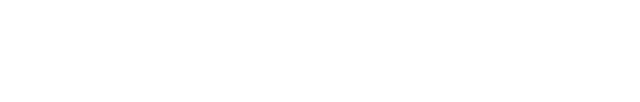 WideNorth Logo