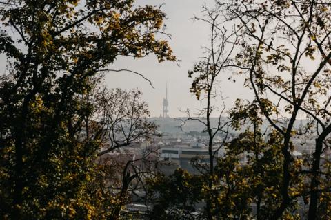 Prague Walk, Sunday, November 3. Liberty in Our Lifetime 2024, Prague.