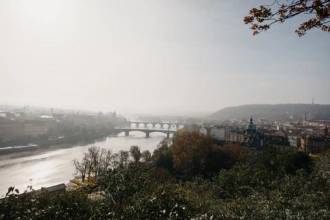 Prague Walk, Sunday, November 3. Liberty in Our Lifetime 2024, Prague.