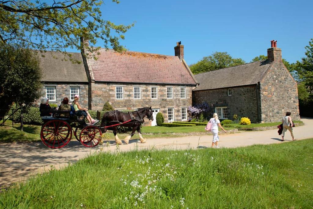 Horse-drawn carriage passing stone cottages on a car-free lane on Sark