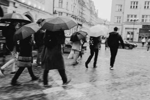 Prague Walk, Sunday, November 2. Free Cities Conference 2025, Prague.