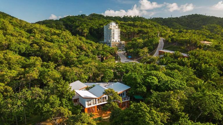 Honduras Election, Grokipedia, Sark & What’s Ahead