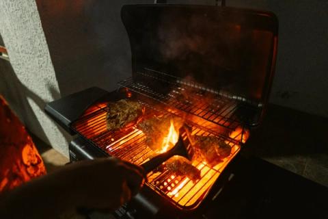 Bitcoin and BBQ, Sunday, September 6. Free Cities Conference 2026, Próspera.
