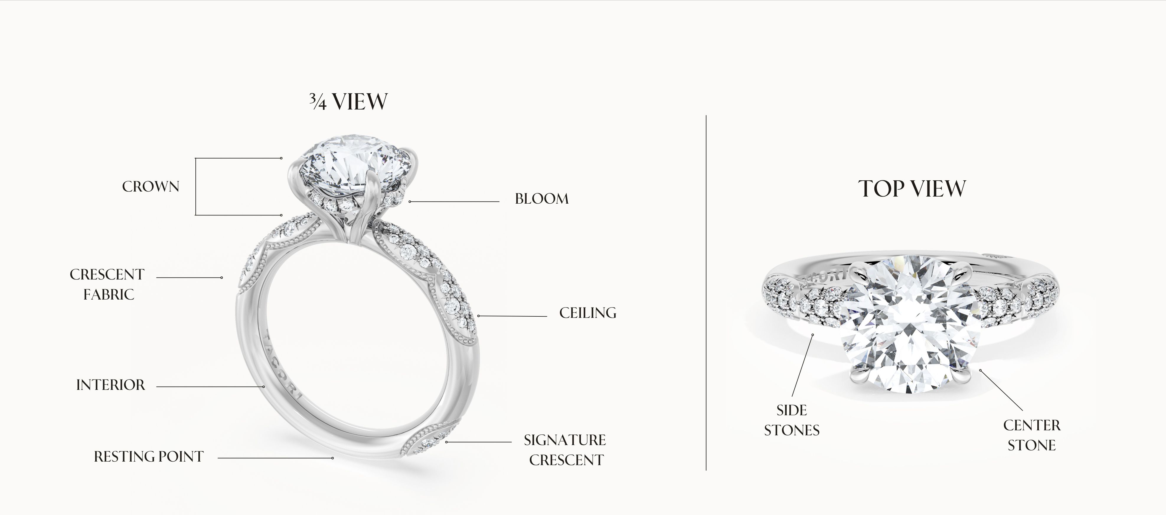 Anatomy of a Ring
