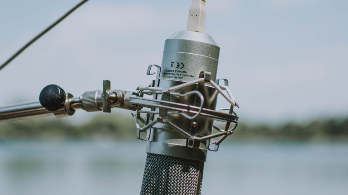 A single microphone
