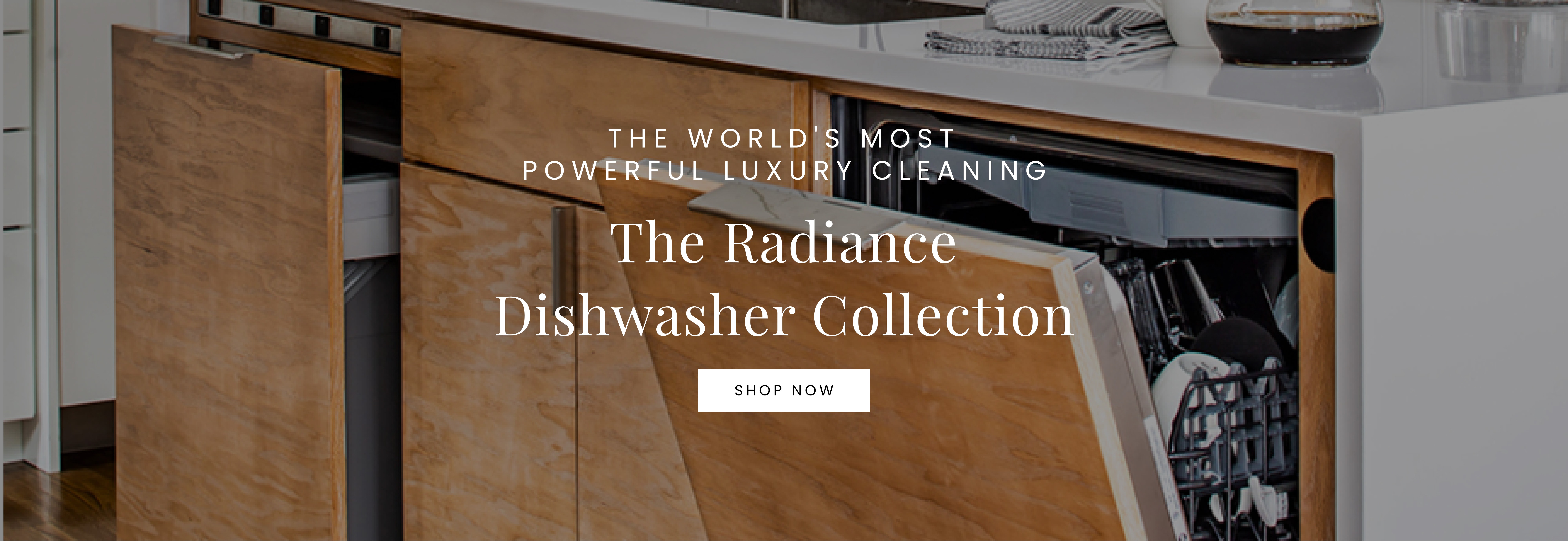 Thermador Dishwashers