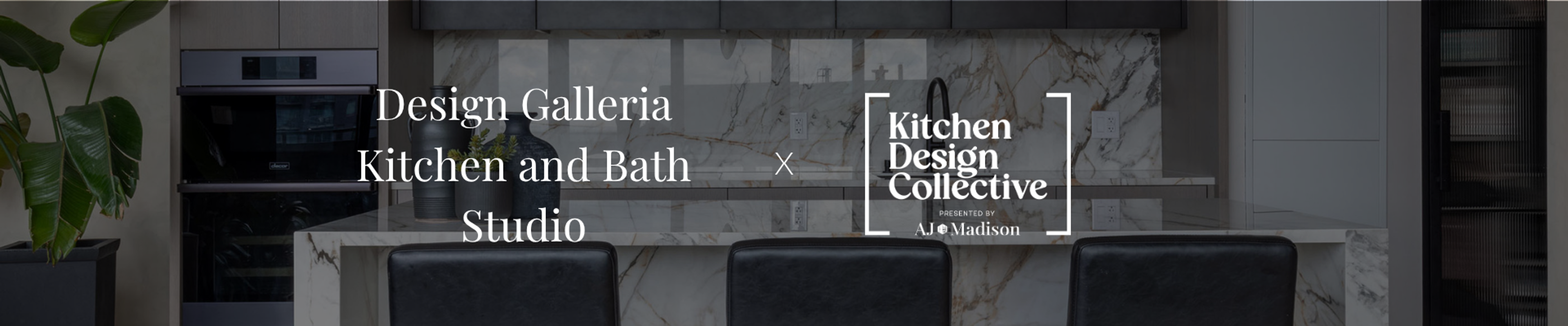 Design Galleria Kitchen and Bath Studio