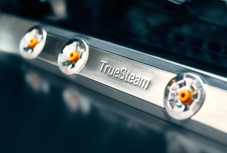 TrueSteam®