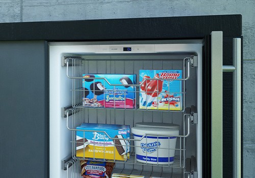 Outdoor Convertible Freezer