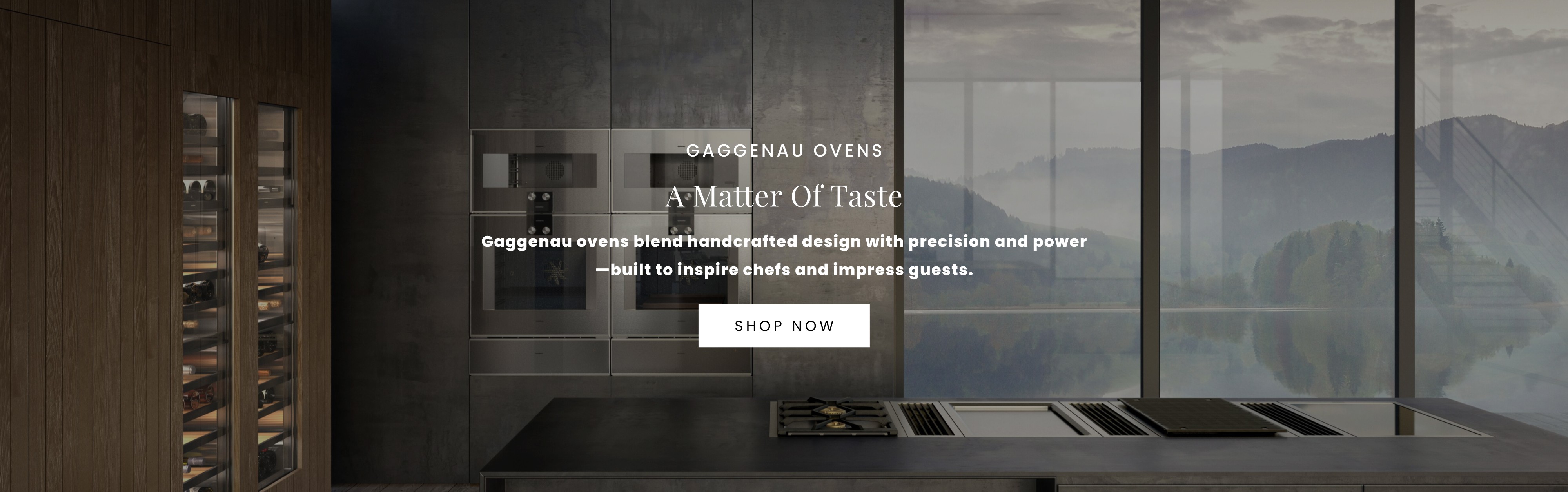 Gaggenau Wall Ovens 