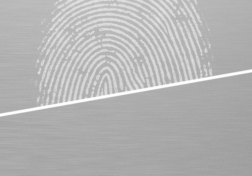 Fingerprint Resistant