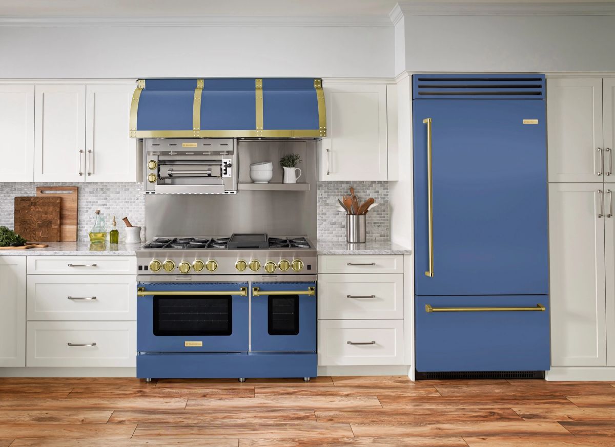 Color Is Back AJ Madison color-is-back-aj-madison