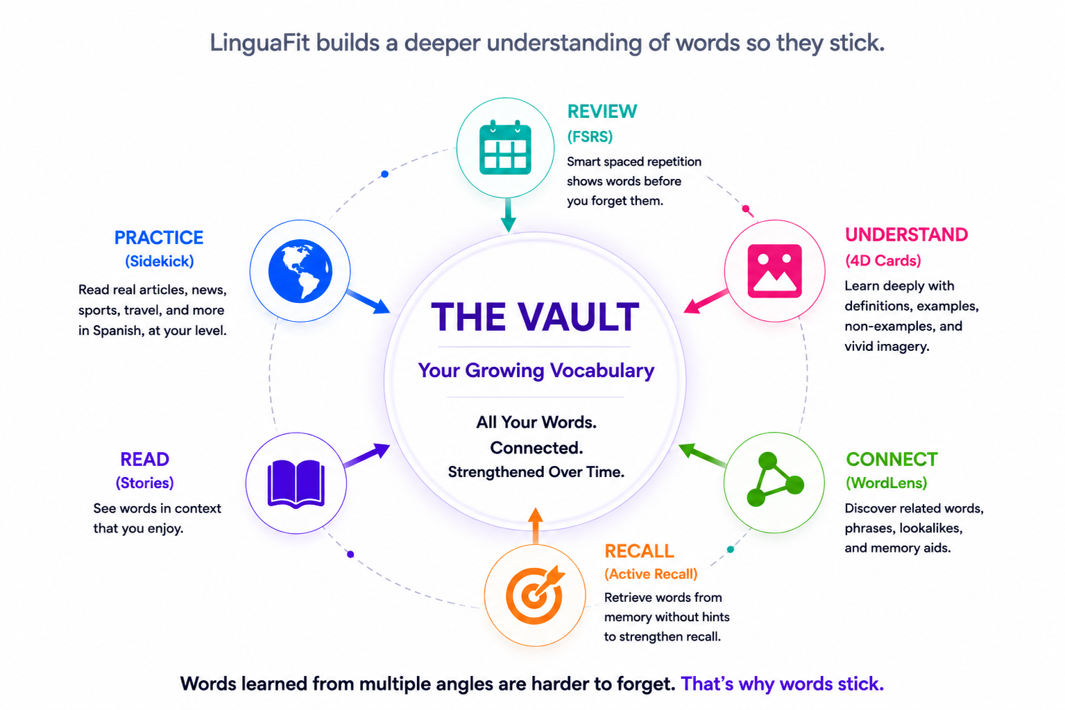 Diagram showing how LinguaFit helps learners remember Spanish vocabulary by connecting words through understanding, reading, practice, recall, review, and real-world usage. All learning activities feed into a central vocabulary system called The Vault, where words are strengthened over time.