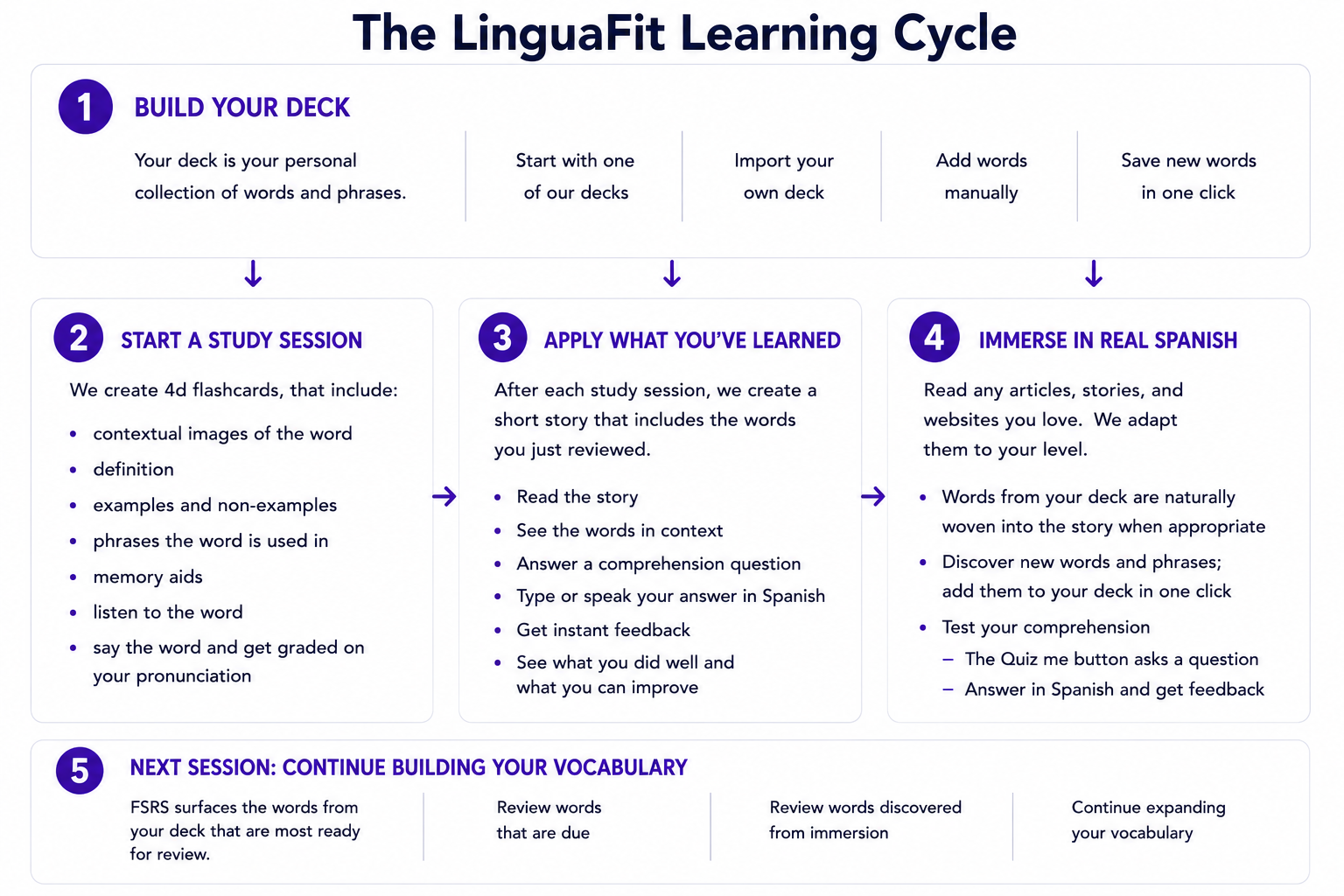 LinguaFit helps you build vocabulary through a continuous cycle of study, application, immersion, and review. Start with a deck of words, learn them through 4D flashcards, apply them in personalized stories, encounter them again in real Spanish content, and strengthen retention through spaced repetition.