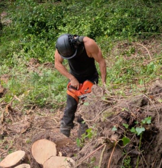 Adam Bentley Tree Surgeon & Fitness