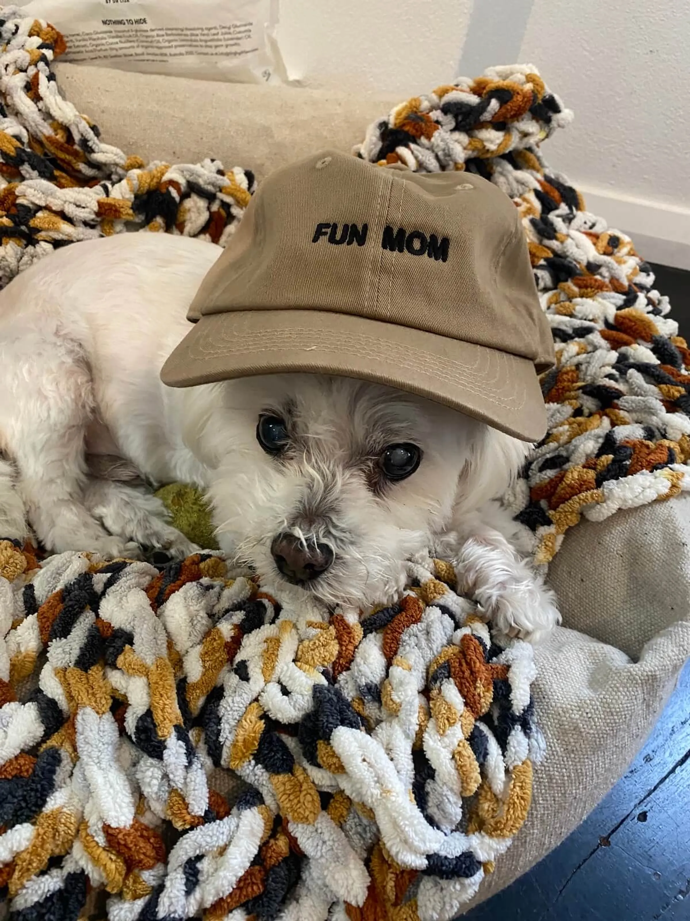 FUN_MOM_DEXTER