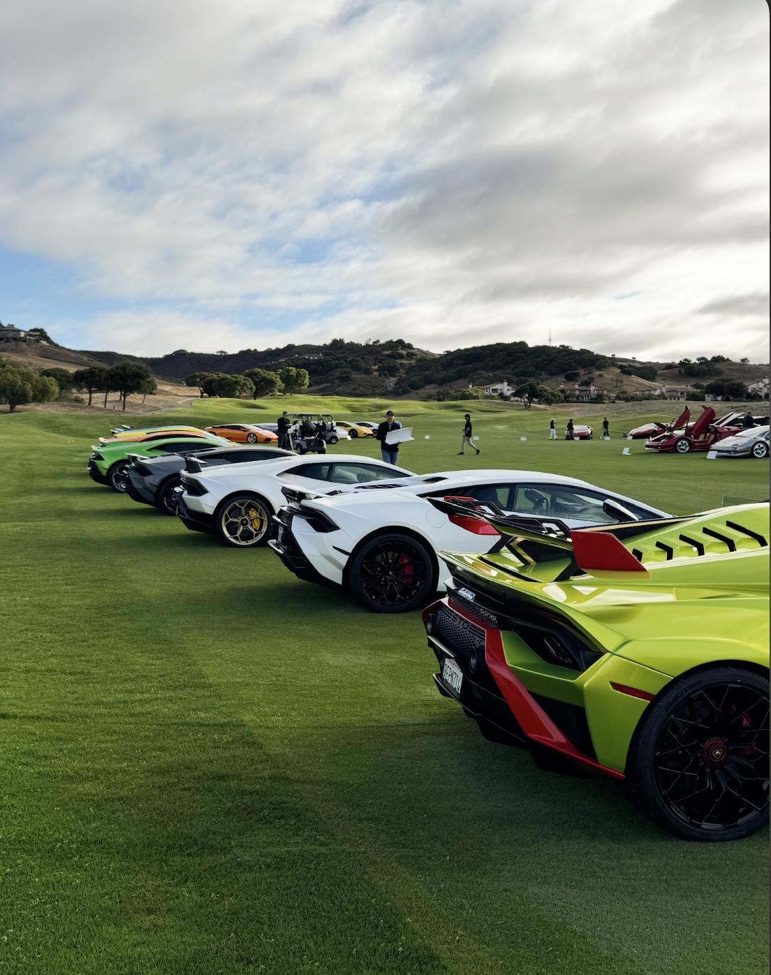 Exotic sports cars lined up at an outdoor event