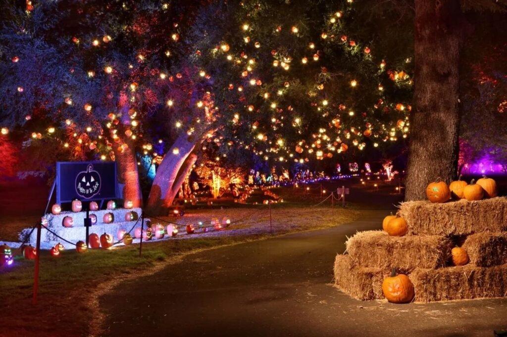 Halloween staple Nights of the Jack
