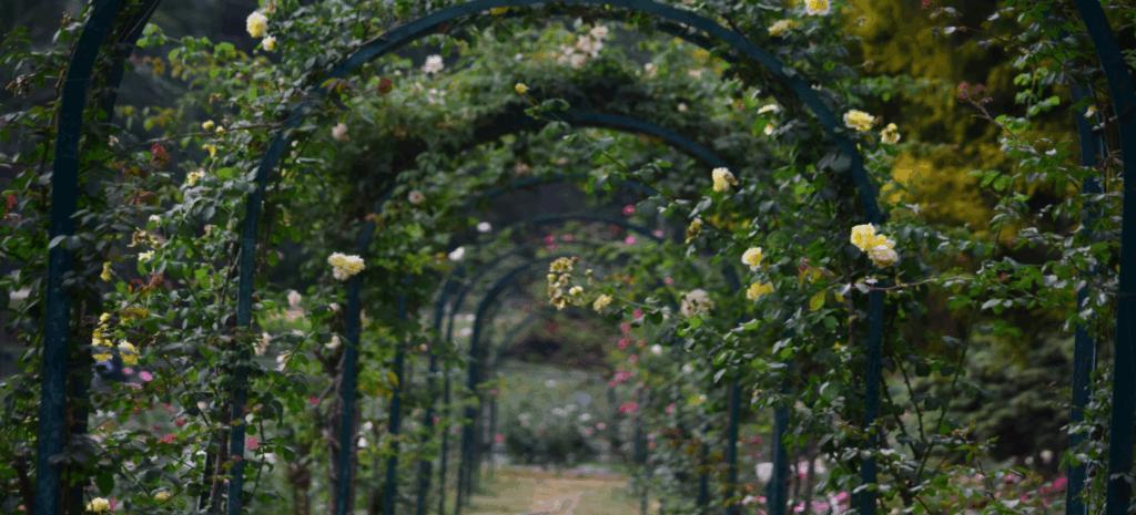 Floral Arches & Statement Installations